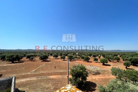 Villa i Ostuni, Brindisi, Ostuni - € 900.000 | Ref: 204 - foto 6