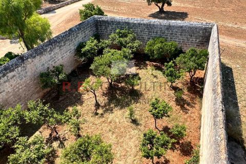 Villa i Ostuni, Brindisi, Ostuni - € 900.000 | Ref: 204 - foto 7