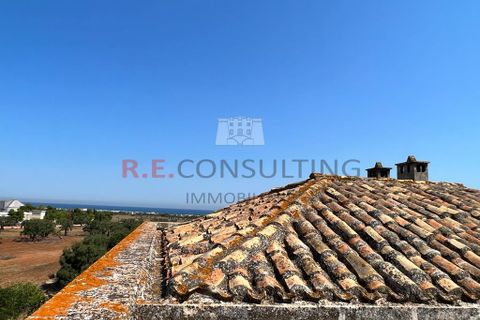 Villa i Ostuni, Brindisi, Ostuni - € 900.000 | Ref: 204 - foto 8