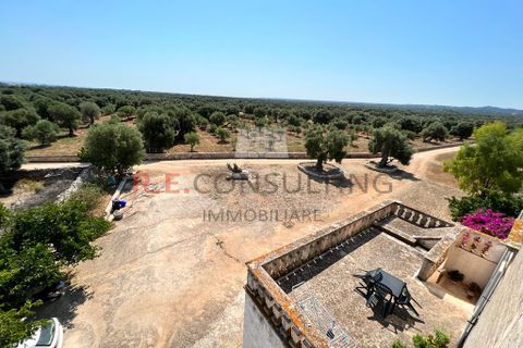Villa i Ostuni, Brindisi, Ostuni - € 900.000 | Ref: 204 - foto 11
