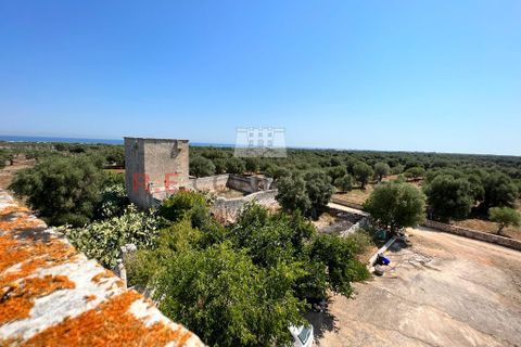 Villa i Ostuni, Brindisi, Ostuni - € 900.000 | Ref: 204 - foto 12