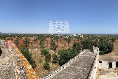 Villa i Ostuni, Brindisi, Ostuni - € 900.000 | Ref: 204 - foto 14