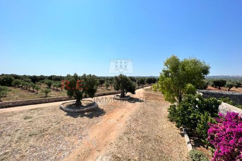 Villa i Ostuni, Brindisi, Ostuni - € 900.000 | Ref: 204 - foto 34
