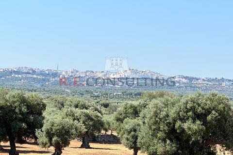Villa i Ostuni, Brindisi, Ostuni - € 900.000 | Ref: 204 - foto 42