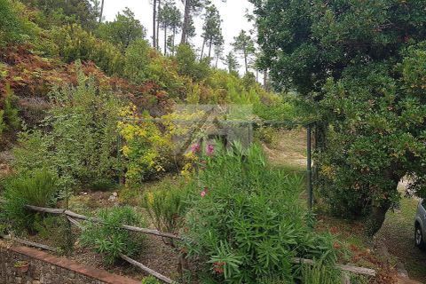 Villa a Capannori, Lucca, Capannori - € 995.000 | Ref: 5375 - foto 22