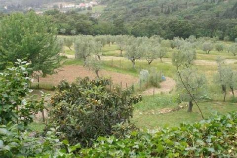 Erhvervsejendom i Altopascio, Lucca, Altopascio - € 3.000.000 | Ref: 3890 - foto 4