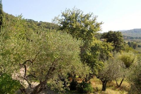 Erhvervsejendom i Altopascio, Lucca, Altopascio - € 3.000.000 | Ref: 3890 - foto 6