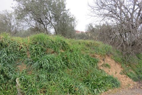 Helårsgrund i Tarouca, Viseu, Tarouca - € 18.000 | Ref: LMG_3809 - N C - foto 3