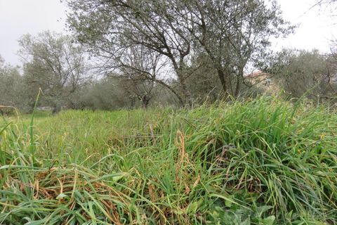 Helårsgrund i Tarouca, Viseu, Tarouca - € 18.000 | Ref: LMG_3809 - N C - foto 4