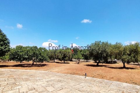 Villa i Carovigno, Brindisi, Carovigno - € 180.000 | Ref: 121630 - foto 17