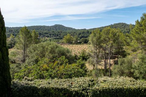 Herregård i Pollenca, Mallorca, Pollenca - € 5 000 000 | Ref: 77049 - foto 39