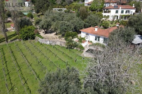Villa i Ponte de Lima, Viana do Castelo, Ponte de Lima - € 3.500.000 | Ref: AO-PAL-0001 - foto 22
