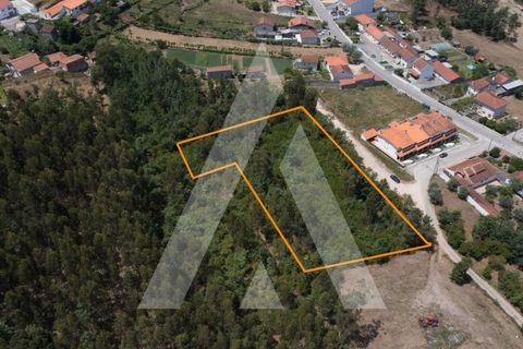 Helårsgrund i Lousa, Coimbra, Lousa - € 149.000 | Ref: 1120864/22CB - foto 6