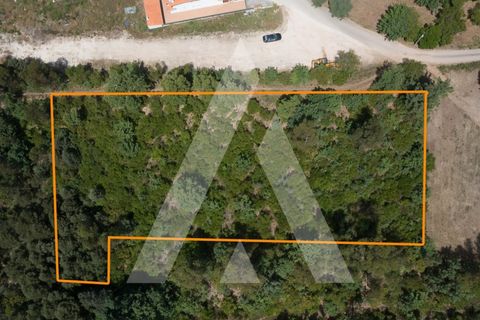 Helårsgrund i Lousa, Coimbra, Lousa - € 149.000 | Ref: 1120864/22CB - foto 7