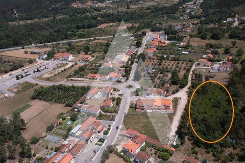 Helårsgrund i Lousa, Coimbra, Lousa - € 149.000 | Ref: 1120864/22CB - foto 8