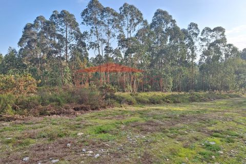 Helårsgrund i Valongo, Porto, Valongo - € 65.400 | Ref: AV24 - foto 6