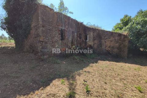 Ruinere i Igreja Nova do Sobral, Santarem, Igreja Nova do Sobral - € 50.000 | Ref: 00945-23 - foto 7