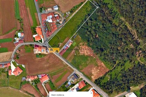 Helårsgrund i Ovar, Aveiro, Ovar - € 75.000 | Ref: 10985 - foto 1