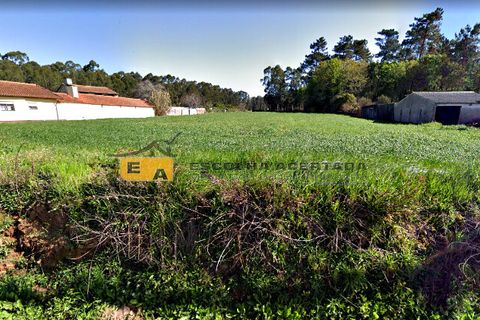 Helårsgrund i Ovar, Aveiro, Ovar - € 75.000 | Ref: 10985 - foto 4