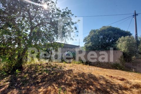 Landejendom i Estoi, Faro, Estoi - € 320.000 | Ref: 02223033 - foto 5