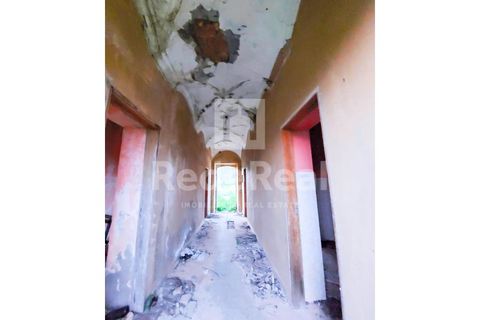 Landejendom i Estoi, Faro, Estoi - € 320.000 | Ref: 02223033 - foto 6