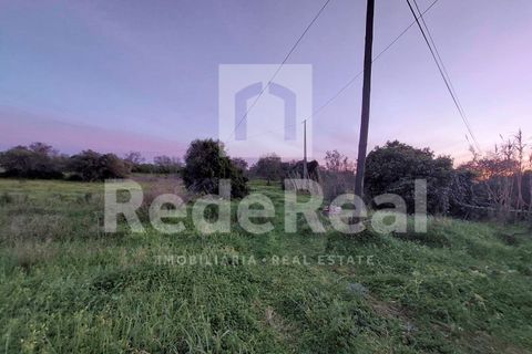 Landejendom i Estoi, Faro, Estoi - € 320.000 | Ref: 02223033 - foto 13