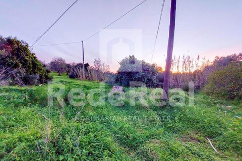 Landejendom i Estoi, Faro, Estoi - € 320.000 | Ref: 02223033 - foto 14