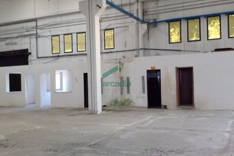 L'establiment comercial a Modugno, Bari, Modugno - € 8.750/mes | Ref: 11367/2020 - foto 2