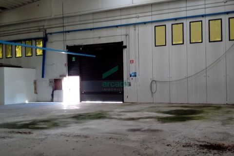 L'establiment comercial a Modugno, Bari, Modugno - € 8.750/mes | Ref: 11367/2020 - foto 13