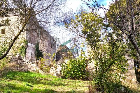 Villa a Alberobello, Bari, Alberobello - € 470.000 | Ref: 11413/2021 - foto 5