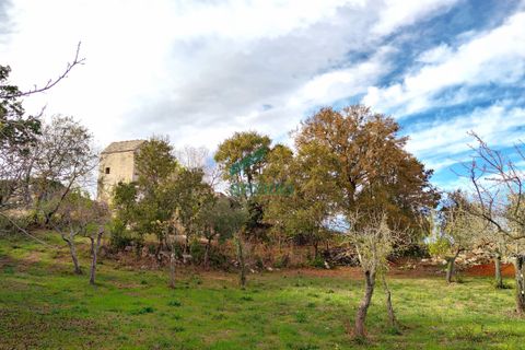 Villa a Alberobello, Bari, Alberobello - € 470.000 | Ref: 11413/2021 - foto 9