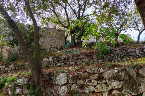 Villa a Alberobello, Bari, Alberobello - € 470.000 | Ref: 11413/2021 - foto 26
