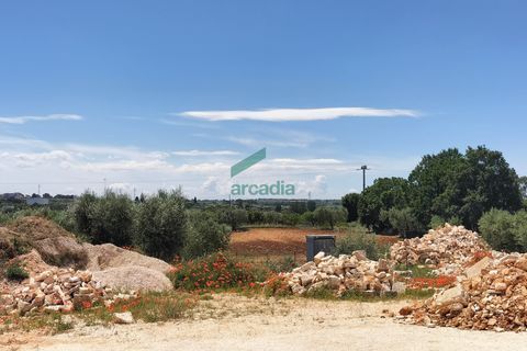 Villa a Alberobello, Bari, Alberobello - € 895.000 | Ref: 11653/2022 - foto 9