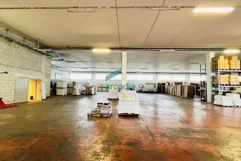 Erhvervsejendom i Bitritto, Bari, Bitritto - € 2.000.000 | Ref: 11707/2023 - foto 4