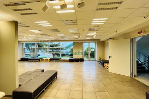 Erhvervsejendom i Bitritto, Bari, Bitritto - € 2.000.000 | Ref: 11707/2023 - foto 3
