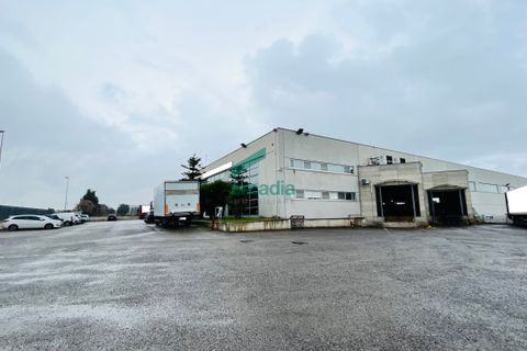 Erhvervsejendom i Bitritto, Bari, Bitritto - € 2.000.000 | Ref: 11707/2023 - foto 1