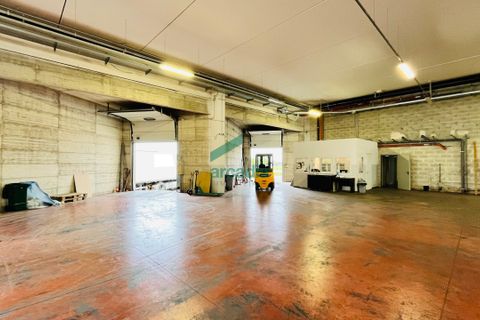 Erhvervsejendom i Bitritto, Bari, Bitritto - € 2.000.000 | Ref: 11707/2023 - foto 6