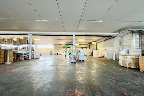 Erhvervsejendom i Bitritto, Bari, Bitritto - € 2.000.000 | Ref: 11707/2023 - foto 9