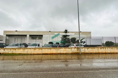 Erhvervsejendom i Bitritto, Bari, Bitritto - € 2.000.000 | Ref: 11707/2023 - foto 20