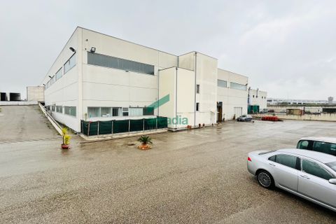 Erhvervsejendom i Bitritto, Bari, Bitritto - € 2.000.000 | Ref: 11707/2023 - foto 35
