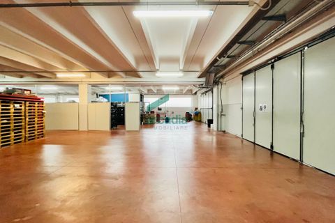 Erhvervsejendom i Bitritto, Bari, Bitritto - € 2.000.000 | Ref: 11707/2023 - foto 2