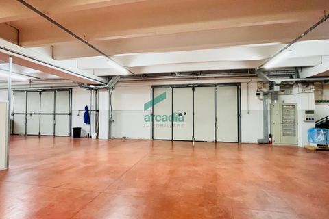 Erhvervsejendom i Bitritto, Bari, Bitritto - € 2.000.000 | Ref: 11707/2023 - foto 36