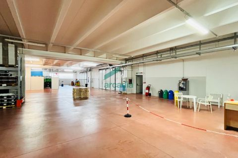 Erhvervsejendom i Bitritto, Bari, Bitritto - € 2.000.000 | Ref: 11707/2023 - foto 38