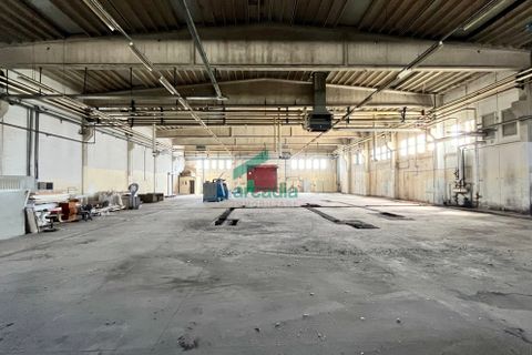 L'establiment comercial a Modugno, Bari, Modugno - € 8.750/mes | Ref: 11113/2019 - foto 3