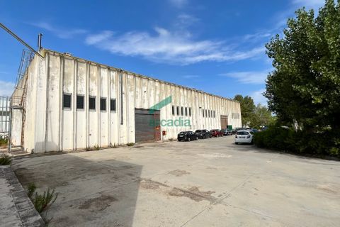 L'establiment comercial a Modugno, Bari, Modugno - € 8.750/mes | Ref: 11113/2019 - foto 8