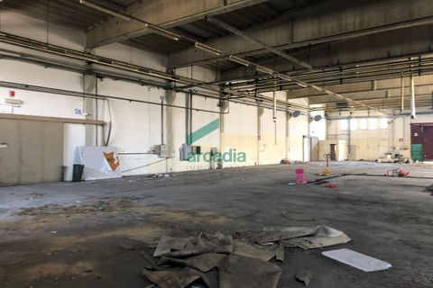 L'establiment comercial a Modugno, Bari, Modugno - € 8.750/mes | Ref: 11113/2019 - foto 10