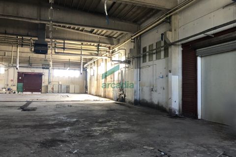 L'establiment comercial a Modugno, Bari, Modugno - € 8.750/mes | Ref: 11113/2019 - foto 11