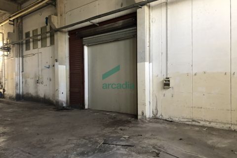 L'establiment comercial a Modugno, Bari, Modugno - € 8.750/mes | Ref: 11113/2019 - foto 12