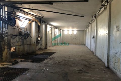 L'establiment comercial a Modugno, Bari, Modugno - € 8.750/mes | Ref: 11113/2019 - foto 13