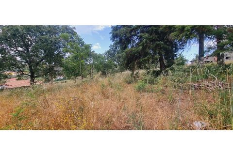 Terra a Monte Real, Leiria, Monte Real - € 280.000 | Ref: TER_182 - foto 3